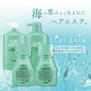 r[GbNX NCGXe Vv[EX 500ml + pbNEX 500g pE`(߂)ypJ[gbWt S4ZbgzDVv[ lߑւ eꔄ e@ Tꔄi gx[l