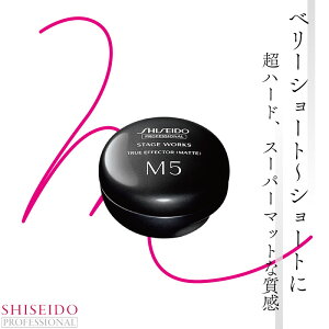 資生堂 ステージワークス トゥルーエフェクター マット 80g 資生堂 プロフェッショナル ヘアワックス サロン専売品 サロン用スタイリング剤 業務用 美容室専売 美容院 サロン専売品