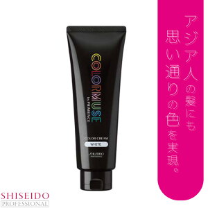  J[~[Y J[N[ zCg  vtFbVi eꔄ e@ Tꔄi 򕔊Oi ѐ J[ wAJ[