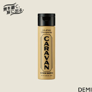 f~ Lo tbVVv[ 250mL f~ Vv[ j  ΍  PA j eꔄ e@ Tꔄi