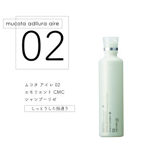 R^ Af[AC 02 Vv[ ANA 250ml Tꔄ eꔄ e@ Tꔄi