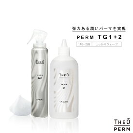 ルベル ジオパーマ TG 第1剤 175ml +第2剤 300ml セット 医薬部外品 美容室専売 美容院 サロン専売品 パーマ液 メンズ