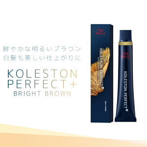 EG RXg p[tFNg{ uCguE e80g ƖpJ[ Ɩp eꔄ e@ Tꔄi 򕔊Oi EF J[