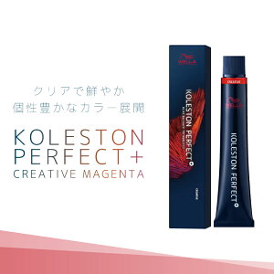 EG RXg p[tFNg{ NGCeBu}[^ e80g ƖpJ[ Ɩp eꔄ e@ Tꔄi 򕔊Oi EF J[