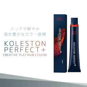 EG RXg p[tFNg{ NGCeBuv`iWFh e80g ƖpJ[ Ɩp eꔄ e@ Tꔄi 򕔊Oi EF J[