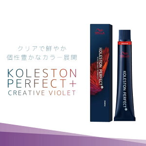 EG RXg p[tFNg{ NGCeBuoCIbg e80g ƖpJ[ Ɩp eꔄ e@ Tꔄi 򕔊Oi EF J[