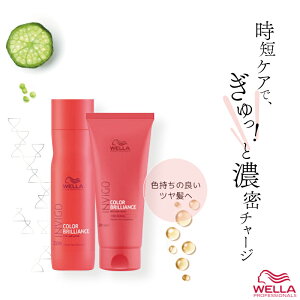 EG CBS J[uAX J[wAVv[ 250ml+RfBVi[ 200ml Zbg J[  Vv[ wAJ[ Fh~ F h Vv[ EF e