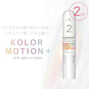 2Zbg J[[V{ J[{h STEP 2 47g J[PAVv[ Tꔄ eꔄ e@ Tꔄi EF J[[V