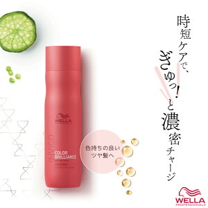 EG CBS J[uAX J[wAVv[ 250ml J[  Vv[ wAJ[ Fh~ F h Vv[ EF eꔄ e@ Tꔄi