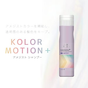 EG J[[V{ AWXgVv[ 250ml J[PAVv[ Tꔄ eꔄ e@ Tꔄi EF J[[V