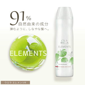 EG Gc R Vv[ 250ml AR̃Vv[  Vv[ {^jJ g[gg Ƃ Tꔄ eꔄ e@ Tꔄi EF