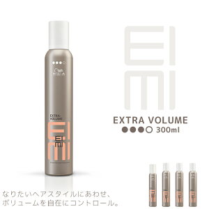 EG AC~B EIMI GNXg{[[X 300ml Tꔄ eꔄ e@ Tꔄi EF