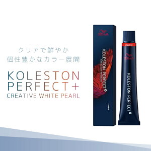 EG RXg p[tFNg{ NGCeBuzCgp[ e80g ƖpJ[ Ɩp eꔄ e@ Tꔄi 򕔊Oi EF J[