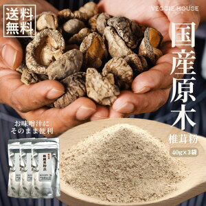 y]4.36 /25z Yؒő  40g×3 啪Y ؃VC^P Y  y pE_[ i ֗ ȒP ԂȂ Hׂ ő xW V ݂` ϕ a m 