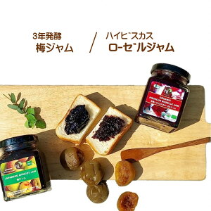 yVׁzy~ƃ[[@e2zW4Zbg L@nCrXJX[[W 220g 3Nn y~W 220g L@ Mtg ^C n[j[Ct |tFm[ I[K