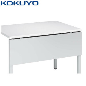 RN  Delphi2 ftB2 SDP-DJ10S81 tg 100×30cm