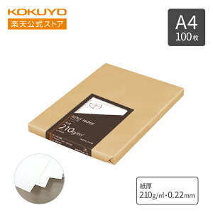 yRN zPg A4 100 Z-KP29 0.22mm Pg KOKUYO RN 