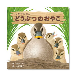 X[p[Z[P10{IyzǂԂ̂₱ iRN̂قj KE-WC73 2 3 4 5 F̂ AGF zq RN m G{ ǂ Mtg KOKUYO