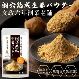 【洞穴熟成!文政六年創業】生姜パウダー しょうがパウダー 創業200年老舗 70g 四国産 無着色 無添加 除草剤不使用 生姜 蒸し生姜 乾燥生姜 100％ 生姜粉末 しょうが粉末 国産 温活 時短 簡単 料理 味噌汁 生姜焼き 送料無料