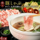 【大変喜ばれています】 博多あごだし かごしま 茶美豚 しゃぶしゃぶ 4人前 500g 鹿児島 銘柄豚 ちゃーみーとん 高級 …