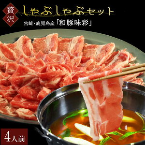 _̓ N[|50%OFF ^yNz̕ɑϊ΂Ă܂z aؖ Ԃ 4lO ؓ 500g i250g×2j{po`2 _ۂ|₲܂sv^ B Y 