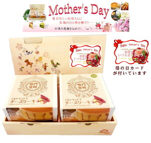 zCgf[ `[YP[L XC[c@`[YP[L v[ 2Zbg 4 a12cm ȂƋ a  َq  i Â Ⓚ Y ÂT  