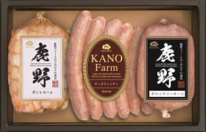 썂q nMtg YT-302 yszŷEsz  Ε j 蕨 Ԃ Mtg