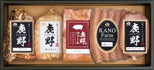 썂q nMtg YT-501 yszŷEsz  Ε j 蕨 Ԃ Mtg