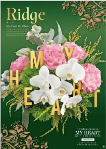 J^OMtg }Cn[gmyRidge@bWz oYj j oYj j Ԃ j o TԂ Cj Vzj ߋ w  o^C Oy