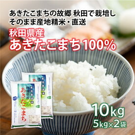 秋田県産 あきたこまち とぐ米 令和5年産 大潟村あきたこまち生産者協会 業務用 送料無料 産直 お米 白米 ごはん ご飯