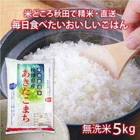 秋田県産 あきたこまち 無洗米 令和5年産 大潟村あきたこまち生産者協会 業務用