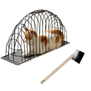 ybgpoXP[W Lpu[hC[{bNX qphC[{bNX ybgV[P[W |[^uu[hC[ L[obO ybgV[P[W LbgV[