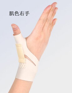 pT|[^[  ew  ^ T|[^[ ŒpXvg ewNyT|[^[ X|[cΉ