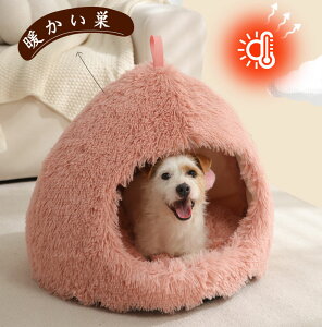 xbh ybgxbh LbgnEX h[^ g ybgpQ LbgnEX h[^ g ӂӂ xe ~p 薰 ΍  ^ Lbg ybg 