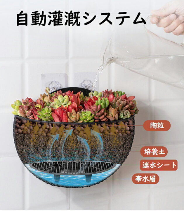 楽天市場】壁掛け鉢 植木鉢 壁掛け 植栽ポット 鉢 プランター 排水 壁  