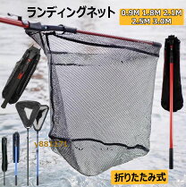 楽天市場】イカ タモの通販