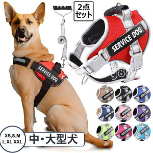  n[lX  [h Ԕ p p[n[lX ybgp  ^ ^ ^ ȒP ߉\ Eoh~ SȂ y U ۉ h  Eoh~ y ʋC 