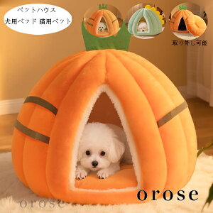  ybgnEX 킢 h[^ pxbh Lpxbg   H~ 薰 Q g ӂӂ Lxbh 􂦂 ϋv ^ ybgxbh xe V