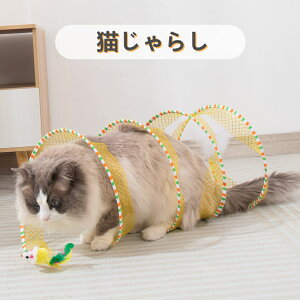 L炵 L  L̊ߋ lV gl o Ĥ炵 LV RpNgTCY ܂ݎ[ a25cm ^/ybg L̉^sObY