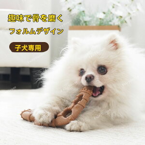    f^PA XgXPA ̃N[jO p ؍ރvX`bNޗ ^ ߋ m ϋv ^s  ^ ^ ^p ybgpi