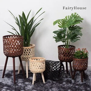 yzkX^C̉ԕr oRj[ rO[ A O[卪 Dؐ rtA ԑ