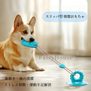 yz  Xbp^ z ^ ^ KWKW   lV XgX ^s  Ƌ ی  ΍ ϋv ͋z