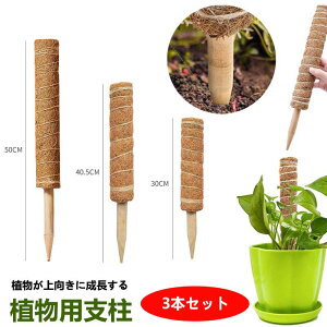 【6%OFFクーポン】モンステラ 支柱 ココスティック 観葉植物 支柱 園芸支柱 植物 ガーデニング用 花ささえ ココナッツ支柱 植物サポート つる性植物 トマト ポトス 園芸用 園芸支柱パーツ 高