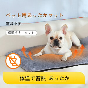 }bg ybgp zbg }bg ~p dsv R[hX  L p Lp ^p 炩 }bg \tg ̉Œ~M  ΍ h ~M @ ې 􂦂 ȃGl 