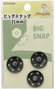 SUNyTRbR[SUNCOCCOHzBIG SNAP@rbOXibv@21mm@yC1-4z