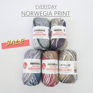 ݌Ɍ聚y@NASKAz@EVERYDAY NORWEGIA PRINT@GufC@mEF[WAvg@H~@yC4-12z