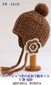 Y-3W-1619yxr[LbYLbgzRT[W̎ĖXLbgK]̂FI (炩gpyIF2ʁ{2ԐF1ʁz)@yC4-12z