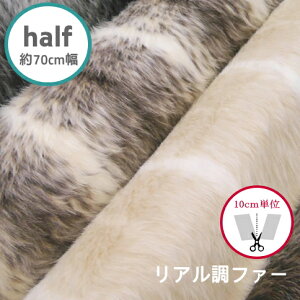 n[tTCY@70cmyt@[@2401zAt@[@(×10cm)yC2-6zU30