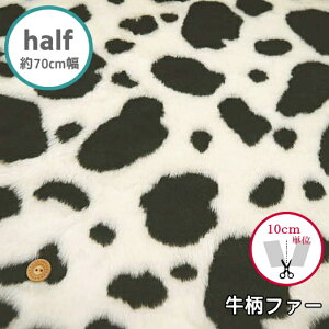 n[tTCY@70cm@yt@[@9038-2011zt@[@@(×10cm)yC2-6zU50