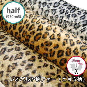 n[tTCY@70cmyt@[@9070zIpht@[@iqEj@(×10cm)yC2-6zU50